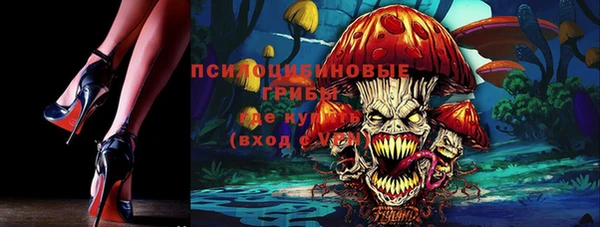 ешки Михайловск