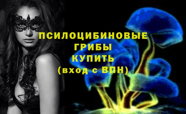 мдма Михайлов