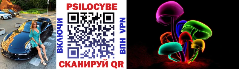 Купить Приволжский Галлюциногенные грибы Psilocybine cubensis